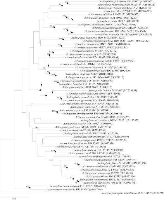 Actinoplanes kirromycinicus sp. nov., isolated from soil