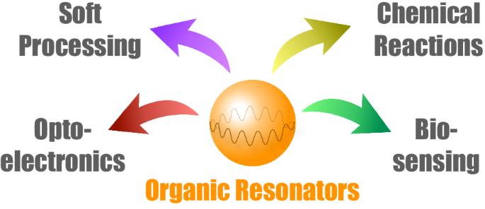 Supramolecular methodologies for the assembly of optical microresonators from functional organic materials