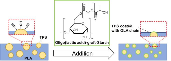 Improvement in the physical properties of poly(lactic acid)/thermoplastic starch blends using oligo(lactic acid)-grafted starch