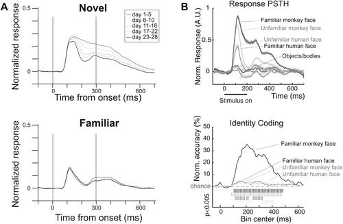 Neuronal Mechanisms Underlying Face Recognition in Non-human Primates