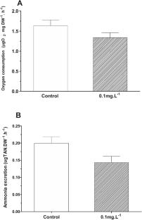 Chronic Cadmium Exposure can Alter Energy Allocation to Physiological Functions in the Shrimp Penaeus vannamei