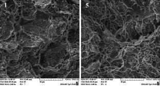 Layered synthesis of workpieces by mig-pulse surface method using austenitic metal-cored wire with nitrogen