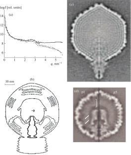 X-ray Small-Angle Scattering in the Study of the Structure of Disordered Nanosystems