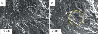 Increasing the Fatigue Life of VT1-0 Titanium under the Influence of a Constant Magnetic Field