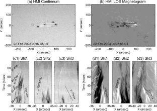 Investigation of Decaying \(\beta \)-Configuration Sunspot in Active Region NOAA 13229