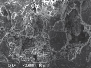 Recycling of Shale Coke with Liquid Glasses to Produce Heat Insulation