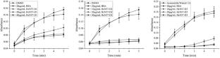 HcN57, A Novel Unusual Acidic Silk-Like Matrix Protein from Hyriopsis cumingii, Participates in Framework Construction and Nacre Nucleation During Nacreous Layer Formation