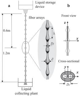 Experimental Study of the Dynamics of Coating Flow on Fiber Array