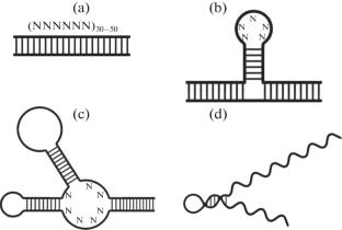 Modern Methods of Aptamer Chemical Modification and Principles of Aptamer Library Selection