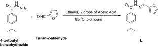 Synthesis, Characterization, Theoretical Studies and BSA Binding Of Co(II), Ni(II) and Cu(II) Schiff Base Complexes