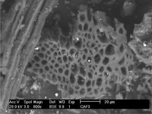 Development of a new magnetic mesoporous activated carbon for the photocatalytic degradation of basic red 18 and reactive red 180 dyes under UVA radiation