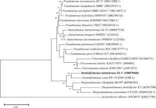 Denitrificimonas halotolerans sp. nov., a novel species isolated from UASB sludge treating landfill leachate