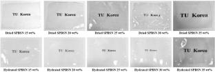 Preparation of Sulfonated Cross-Linked Films for Proton Exchange Membranes (PEMs) Through a Curing Process