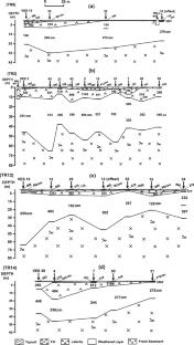 Assessment of subsoil characteristics by electrical resistivity method for engineering, groundwater and environmental impact at a proposed estate in a basement complex terrain—a case study from Southwestern Nigeria