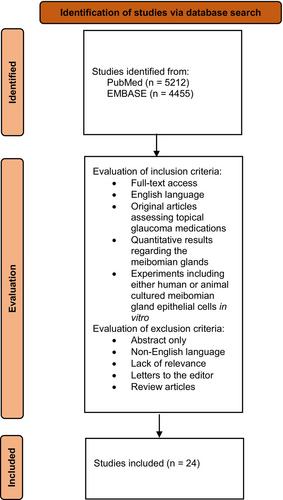 Topical glaucoma medications − Possible implications on the meibomian glands