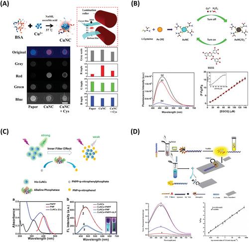 Nanofabrication and Sensing Technology: from the Interface-Mediated Mechanism Point-of-View