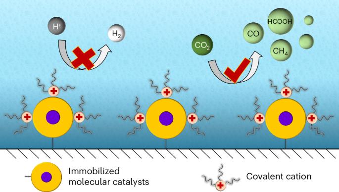 A covalent molecular design enabling efficient CO2 reduction in strong acids