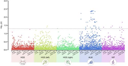 Casual associations between brain structure and sarcopenia: A large-scale genetic correlation and mendelian randomization study