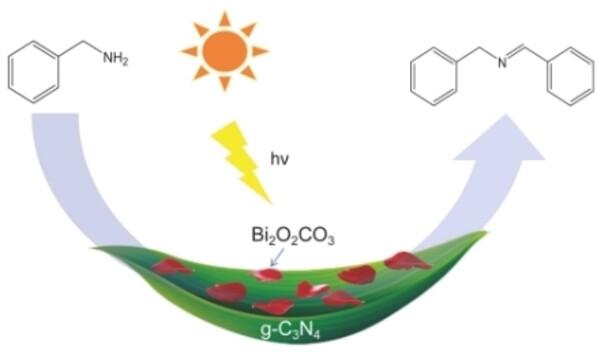 Bi2O2CO3/g-C3N4 Catalyst for Photocatalytic Coupling of Benzylamine under Mild Conditions