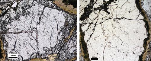 Geochemistry of forty-one eclogitic and pyroxenitic mantle xenoliths from the Central Slave Craton, Canada (Ekati Diamond Mine)