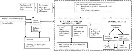 Mechanisms underlying the development of eating disorders and disordered eating in adolescent females with type 1 diabetes