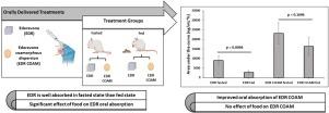 Effect of food on oral pharmacokinetics of edaravone coamorphous dispersion containing bile salts as coformers – Part II