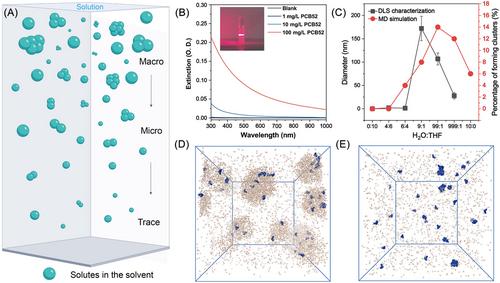 Unveiling the exceptional evolution of solute aggregates: From micro to trace, solution to interface