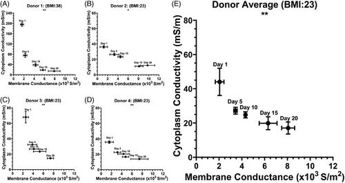 Measurement and analysis of ionic leakage profiles in refrigerated human red blood cells using dielectrophoresis and inductively coupled mass spectroscopy