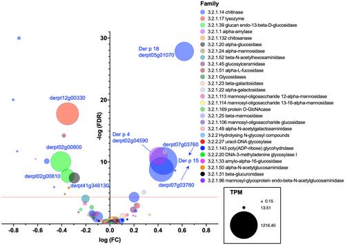 The genome-wide response of Dermatophagoides pteronyssinus to cystatin A, a peptidase inhibitor from human skin, sheds light on its digestive physiology and allergenicity