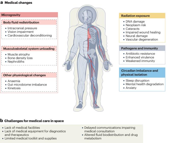 Advanced material technologies for space and terrestrial medicine