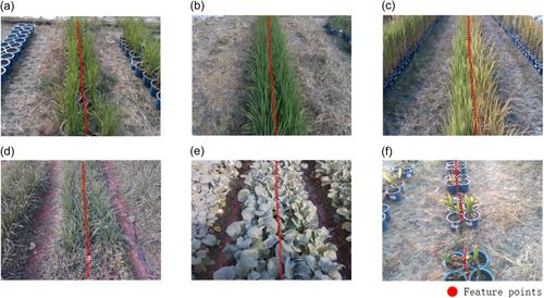 Autonomous navigation method based on RGB-D camera for a crop phenotyping robot