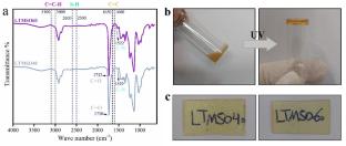 Photocrosslinkable Antibacterial Bioadhesives Derived from Soybean Oil-Based Hydroxyurethane Methacrylates