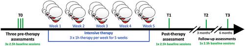 Effectiveness of French Phonological Components Analysis in individuals with chronic aphasia