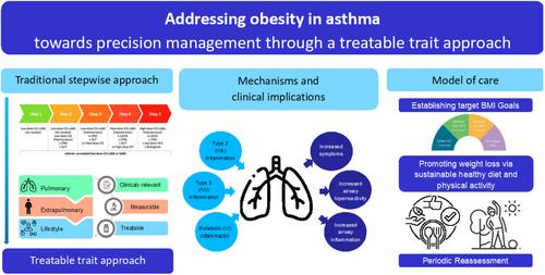 Obesity and Asthma: Implementing a Treatable Trait Care Model