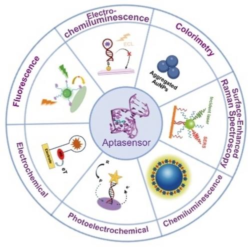 Recent Advances in Aptamer-Based Sensors for In Vitro Detection of Small Molecules