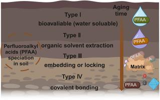 Speciation and biogeochemical behavior of perfluoroalkyl acids in soils and their environmental implications: A review