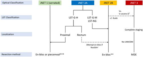 International consensus on the management of large (≥20 mm) colorectal laterally spreading tumors: World Endoscopy Organization Delphi study