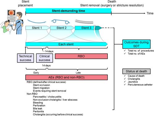 TOKYO criteria 2024 for the assessment of clinical outcomes of endoscopic biliary drainage