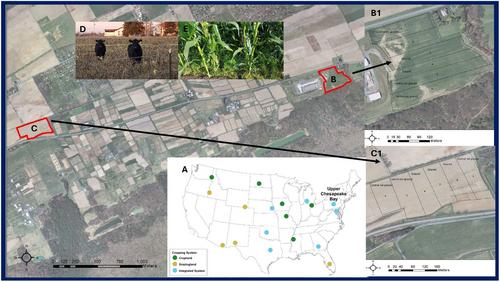 The LTAR Common Experiment at Upper Chesapeake Bay: Integrated