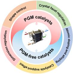 Progress in the design and performance evaluation of catalysts for low-temperature direct ammonia fuel cells