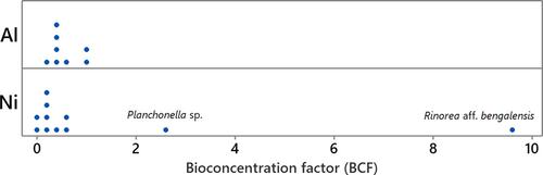 Metal hyperaccumulation in the Indonesian flora