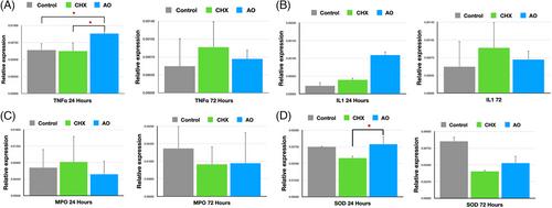 The effect of an antioxidant gel compared to chlorhexidine during the soft tissue healing process: An animal study