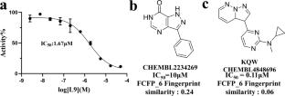 Discovery of a novel DYRK1A inhibitor with neuroprotective activity by virtual screening and in vitro biological evaluation