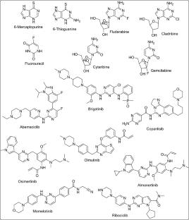 Anticancer potential and structure activity studies of purine and pyrimidine derivatives: an updated review