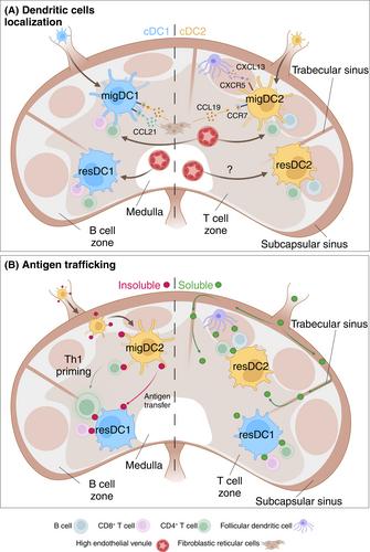 Abstract Image