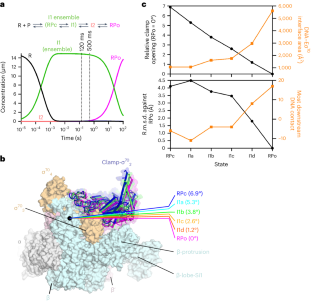 Early intermediates in bacterial RNA polymerase promoter melting visualized by time-resolved cryo-electron microscopy