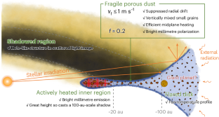 Support for fragile porous dust in a gravitationally self-regulated disk around IM Lup