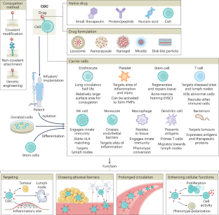 Cell–drug conjugates