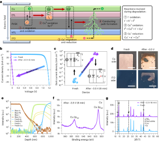 Barrier reinforcement for enhanced perovskite solar cell stability under reverse bias