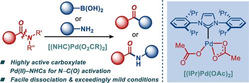 [(NHC)Pd(OAc)<sub>2</sub>]: Highly Active Carboxylate Pd(II)-NHC (NHC = N-Heterocyclic Carbene) Precatalysts for Suzuki-Miyaura and Buchwald-Hartwig Cross-Coupling of Amides by N-C(O) Activation.